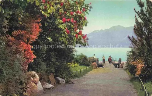 AK / Ansichtskarte Brienz Brienzersee BE Weg zum See