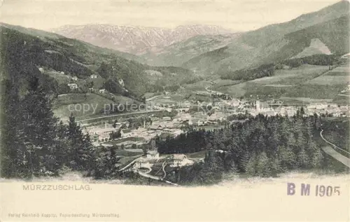 AK / Ansichtskarte Muerzzuschlag Steiermark AT Panorama