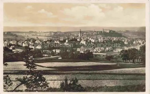 AK / Ansichtskarte BAD WILDUNGEN Panorama