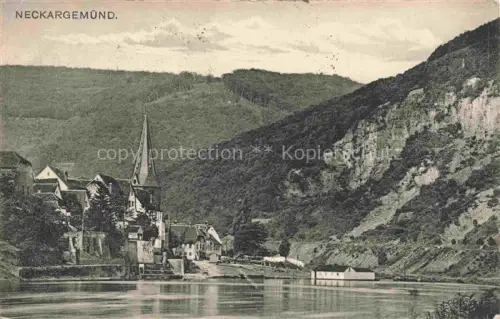 AK / Ansichtskarte Neckargemuend Blick ueber den Neckar zum Ort