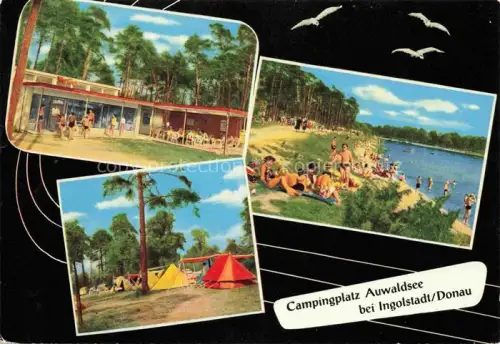 AK / Ansichtskarte INGOLSTADT Donau Campingplatz Auwaldsee Strandpartie