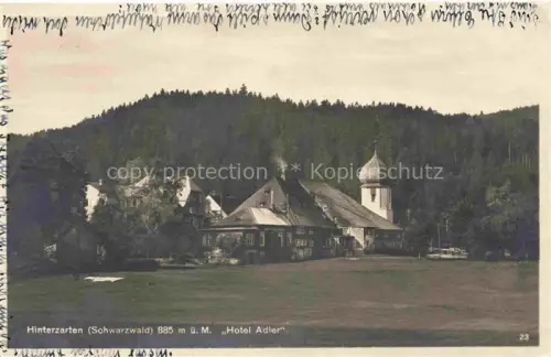 AK / Ansichtskarte Hinterzarten Breisgau-Hochschwarzwald BW Hotel Adler