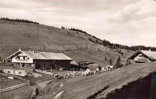 AK / Ansichtskarte Gindlalmen Hausham Miesbach Bayern panorama