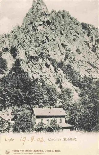 AK / Ansichtskarte Thale Harz Koenigsruh Bodethal