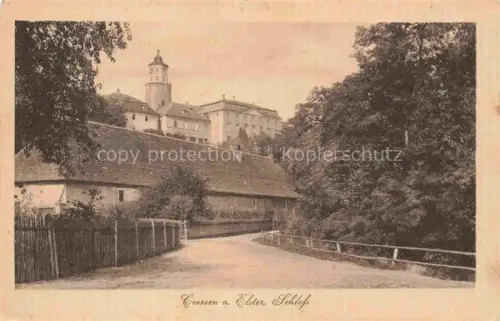 AK / Ansichtskarte Crossen Elster am Elster Schloss