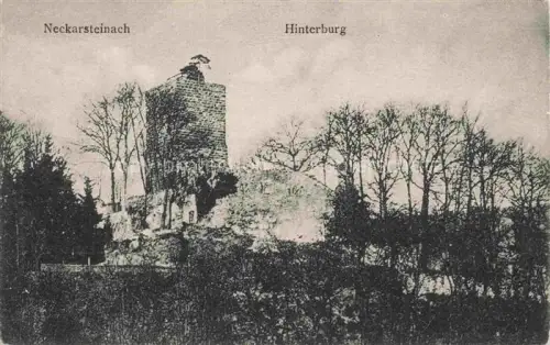 AK / Ansichtskarte Neckarsteinach Hinterburg