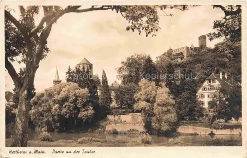 AK / Ansichtskarte Wertheim Main Partie an der Tauber