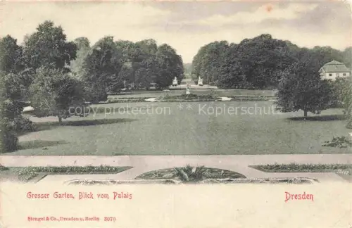 AK / Ansichtskarte DRESDEN Elbe Grosser Garten Blick vom Palais
