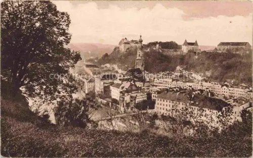 AK / Ansichtskarte Burghausen  Salzach Oberbayern Panorama