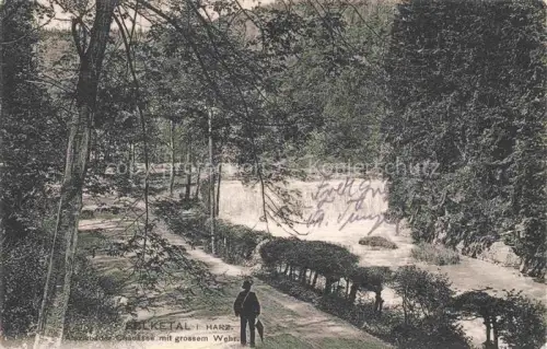 AK / Ansichtskarte Selketal Harz Sachsen-Anhalt Alexisbader Chaussee mit grossem Wehr
