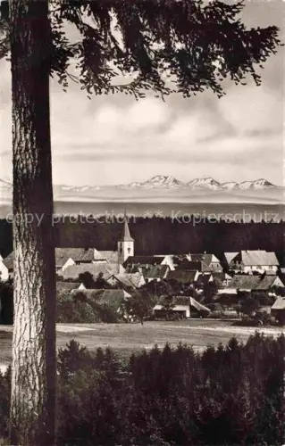 AK / Ansichtskarte Birkendorf uehlingen-Birkendorf Panorama