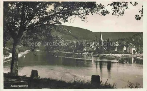 AK / Ansichtskarte Neckargemuend Panorama Neckarpartie