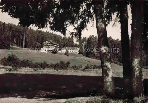 AK / Ansichtskarte FREUDENSTADT Waldhotel und Cafe Stokinger