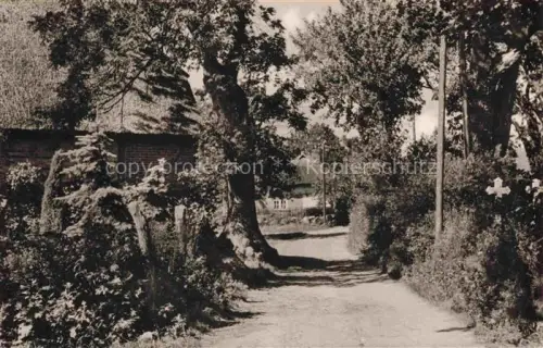 AK / Ansichtskarte Gross-Zicker Gager Ruegen Dorfstrasse