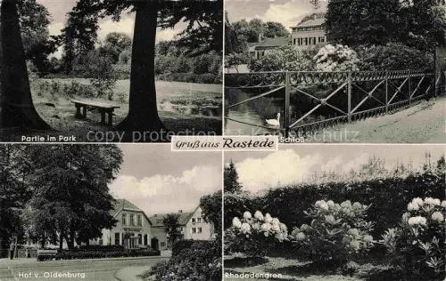 AK / Ansichtskarte Rastede Partie im Park Schloss Hof von Oldenburg Rhododendron