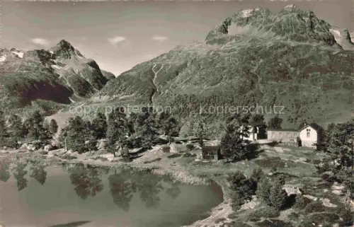 AK / Ansichtskarte Hahnensee St Moritz GR Panorama Blick gegen Piz Albana und Piz Polaschia