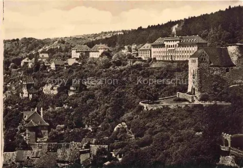 AK / Ansichtskarte Bad Frankenhausen Thueringen Solbad Blick zum Weinberg