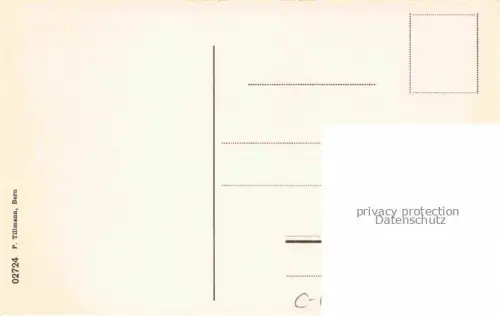 AK / Ansichtskarte BERN BE Steinerstrasse Kirchenfeld