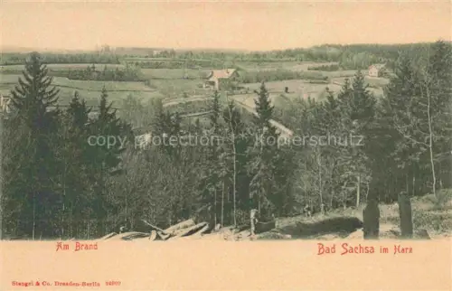 AK / Ansichtskarte Bad Sachsa Osterode Harz Am Brand