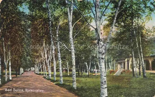 AK / Ansichtskarte Bad Sulza Thueringen Birkenallee