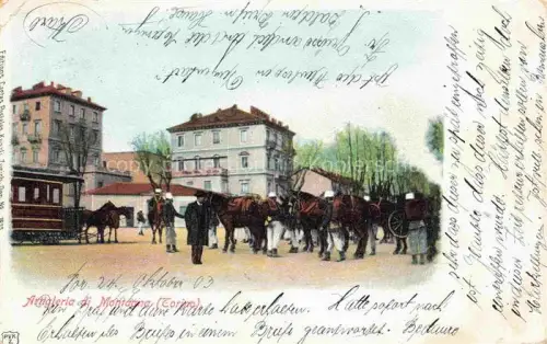 AK / Ansichtskarte TORINO Turin IT Artigleria di Montagna