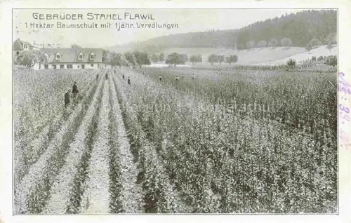 AK / Ansichtskarte FLAWIL Flawyl SG Gebrueder Stahel Baumschule