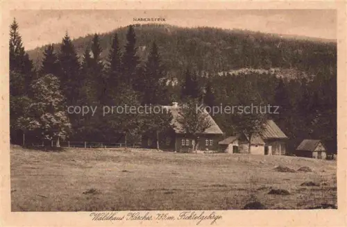 AK / Ansichtskarte Karches Waldhaus 735m Fichtelgebirge Bischofsgruen Bayern im Fichtelgebirge