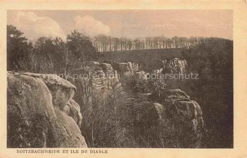 AK / Ansichtskarte Berdorf Echternach Luxembourg Roitzbachheide et Ile du Diable