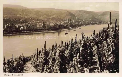 AK / Ansichtskarte Boppard Rhein Rheinland-Pfalz Panorama