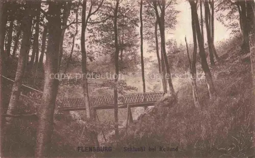 AK / Ansichtskarte FLENSBURG  Flensborg Schleswig-Holstein Schlucht bei Kollund