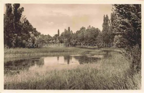 AK / Ansichtskarte Ichenheim Altrhein Partie