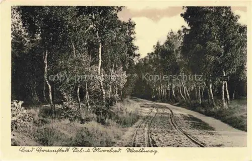 AK / Ansichtskarte Bad Bramstedt Schleswig-Holstein Sol und Moorbad Waldweg