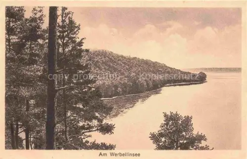 AK / Ansichtskarte Werbellinsee-Altenhof Schorfheide Barnim Brandenburg Panorama