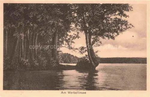 AK / Ansichtskarte Werbellinsee-Altenhof Schorfheide Barnim Brandenburg Panorama