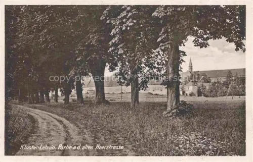 AK / Ansichtskarte Kloster Lehnin Brandenburg Partie an der alten Heerstrasse
