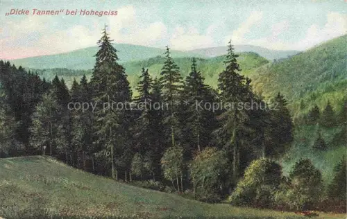 AK / Ansichtskarte Hohegeiss Braunlage Harz Niedersachsen Dicke Tannen