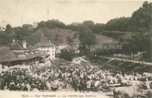 AK / Ansichtskarte BERN BE Viehmarkt Marché aux bestiaux