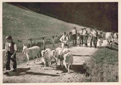 AK / Ansichtskarte Schaeferei Sheperding Bergerie-- Alp Aufzug Kuh 