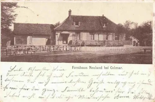 AK / Ansichtskarte COLMAR 68 Haut-Rhin Forsthaus Neuland