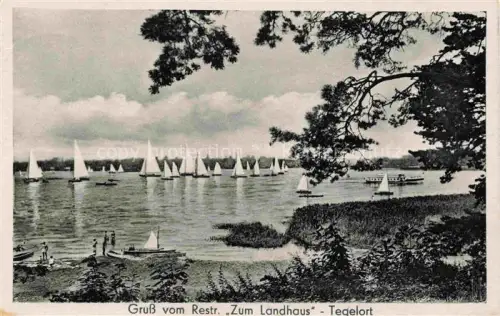 AK / Ansichtskarte Tegelort Konradshoehe REINICKENDORF BERLIN Regatta Tegeler See