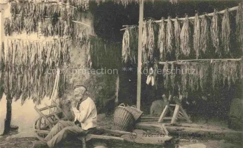 AK / Ansichtskarte Semois Ardennes Liege Belgie Le vieux planteur de tabac