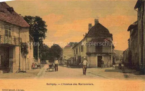 AK / Ansichtskarte Quingey Besancon 25 Doubs Avenue des Marronniers