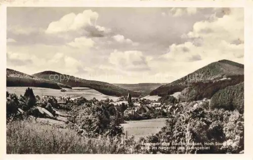 AK / Ansichtskarte Siedlinghausen Winterberg Hochsauerlandkreis NRW Blick ins Negertal und Assengebiet