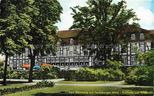 AK / Ansichtskarte Bad Meinberg Horn-Bad Meinberg NRW Kurhotel zur Rose