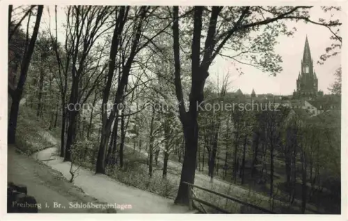 AK / Ansichtskarte FREIBURG Breisgau BW Schlossberganlagen