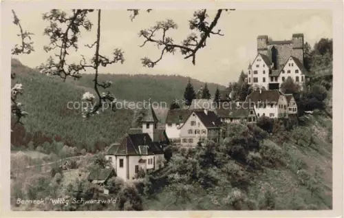 AK / Ansichtskarte Berneck Altensteig Calw BW Burg Berneck