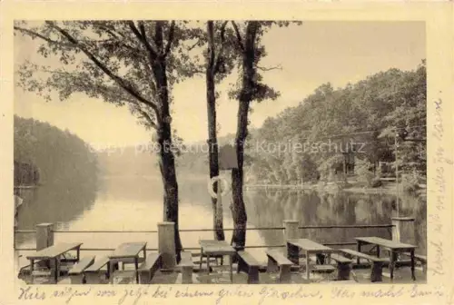 AK / Ansichtskarte Bitche Bitsch 57 Moselle Lothringen sur l'Etang de Hasselfurth Hotel Restaurant Chez Paul