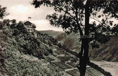 AK / Ansichtskarte Trechtingshausen Mainz-Bingen Rheinland-Pfalz Waldgaststaette Schweizerhaus mit Burg Rheinstein