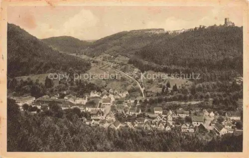 AK / Ansichtskarte Bad Teinach-Zavelstein BW Panorama
