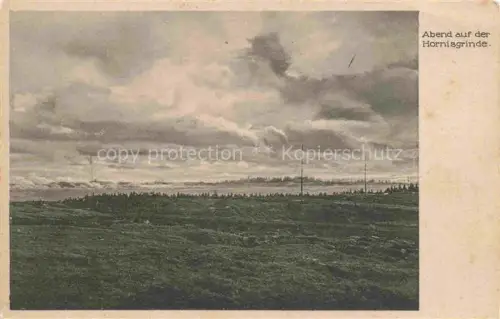 AK / Ansichtskarte Hornisgrinde Sasbach Ortenau BW Abendstimmung